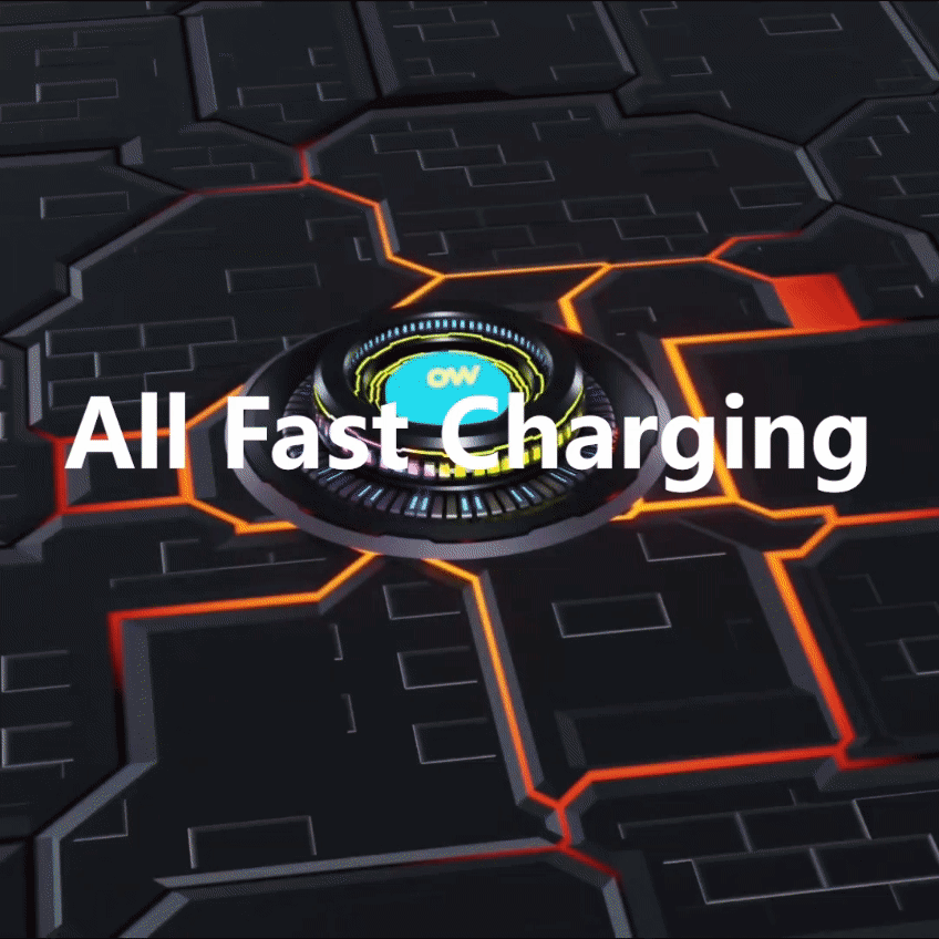 6 ports with individual chipsets - all fast charging at the same time